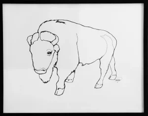 Bison, Drawing by Tawna Allred, Framed