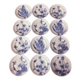 Tiffany & Co. Botanical Plates Collection Circa 1990s - Set of 12 For Sale