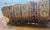 Late 19th Century Rare Antique Family Bible For Sale - Image 5 of 12