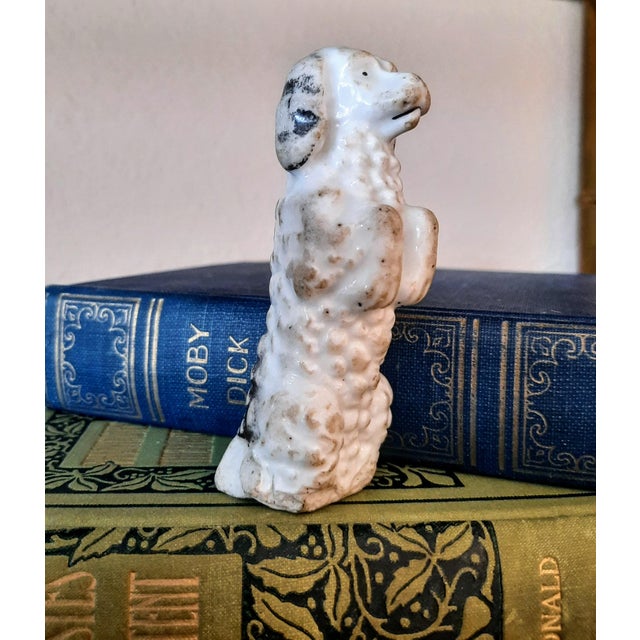 Antique Staffordshire Poodle Dog For Sale - Image 4 of 5