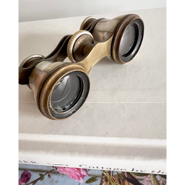 Geneva Jumelle Mother-of-Pearl Opera Glasses, Switzerland, Early 20th Century For Sale - Image 10 of 12