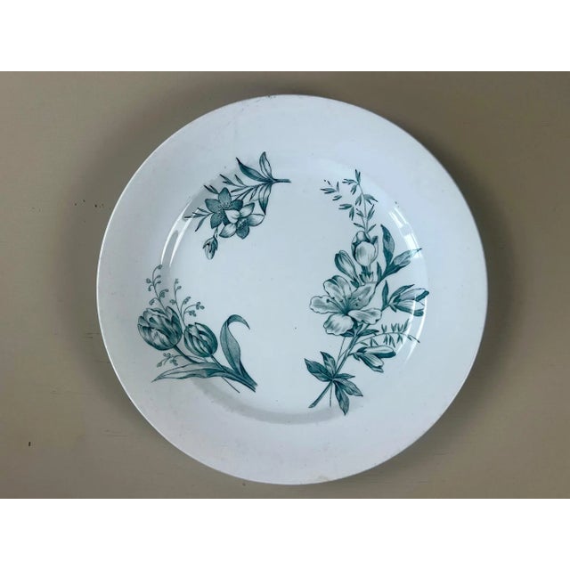 Antique Italian Botanical Plates | s.c.r. Linneo Green Transferware Set (20cm) For Sale - Image 15 of 18