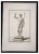 Carlo Nolli, Ancient Roman Statue, Original Etching, 18th Century For Sale