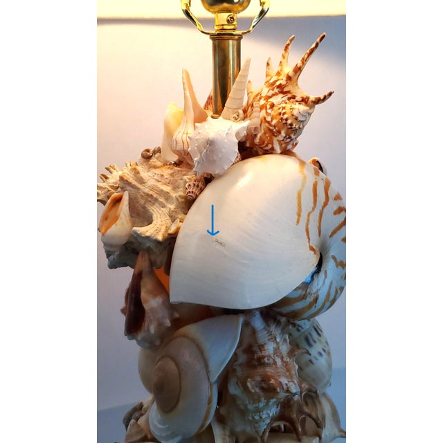 Lamp Seashells Shells Extra-Large Size - Restored For Sale - Image 16 of 17