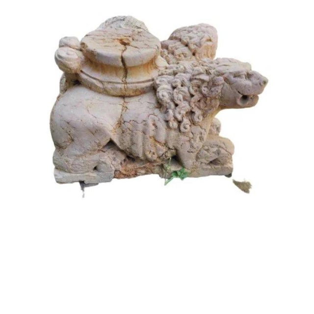 Stone Marble Base Depicting Lions with Joined Bodies, 18th Century, Set of 2 For Sale - Image 7 of 10