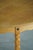 Mid-Century Danish Round Dining Table in Oak with Three Extensions, 1960s For Sale - Image 16 of 18