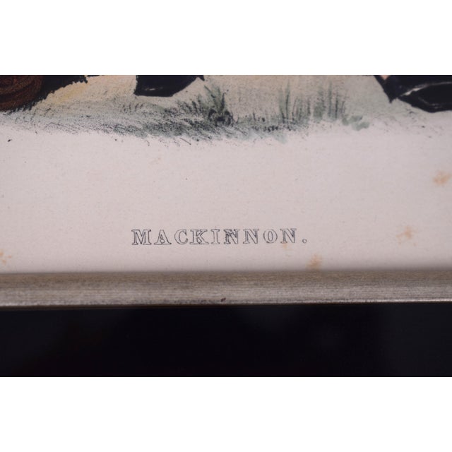 Paper Original Antique Mackinnon Highlander Lithograph by Bosley 1845 Framed Print For Sale - Image 7 of 7