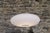 White Etheletta Inverse Lamp by One Foot Taller For Sale - Image 8 of 9