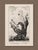 Italian Framed 1780 “Atlas Des Oiseaux” Woodcuts in 16-Opening Conservation Mat — Italian Mahogany Frame (Birds) For Sale - Image 3 of 4