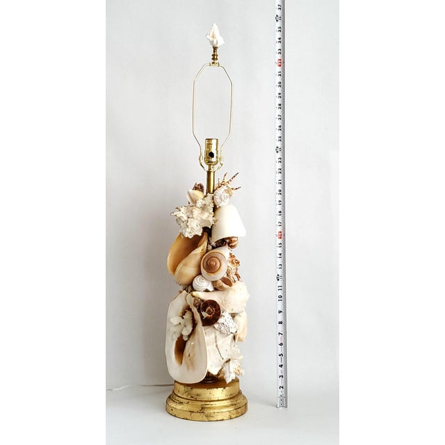 Nautical Lamp Real Shells For Sale - Image 3 of 14