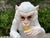 Mid-Century Modern 1960s Italian Glazed Terracotta Monkey Sculpture For Sale - Image 3 of 12