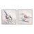 Framed Bird Canvas Block (Set of 2) For Sale