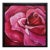 Crimson Embrace: Rose Painting by Yulia S For Sale