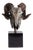 Ram's Skull Silver Plated For Sale