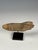 Wood Antique Gesso-Painted Hand Fragment on Stand, 1800 For Sale - Image 7 of 14