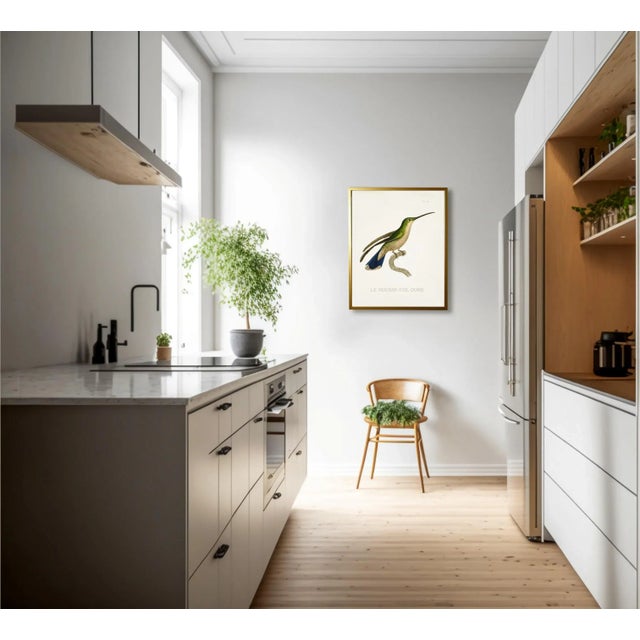 This vibrant hummingbird print is framed beautifully in a gold shadowbox. The bold color will add beauty to any room in...