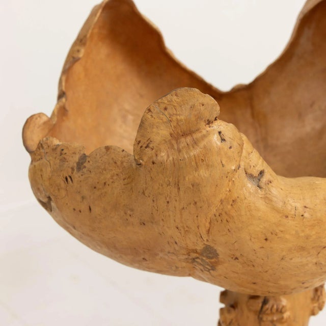 Mid 20th Century Large Swedish Birch and Pine Root Bowl Tazza on Base For Sale - Image 10 of 12