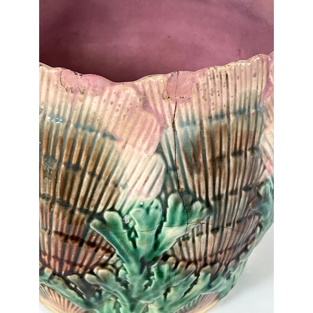 Late 19th Century Antique Shells & Seaweed 19th C Etruscan Majolica Pitcher 7" Tall C1890s For Sale - Image 5 of 7