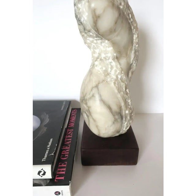 Organic Modern Alabaster Marble Sculpture For Sale - Image 11 of 12