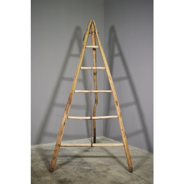 Staircase with three feet and 5 rungs in fir and beech wood early '900.