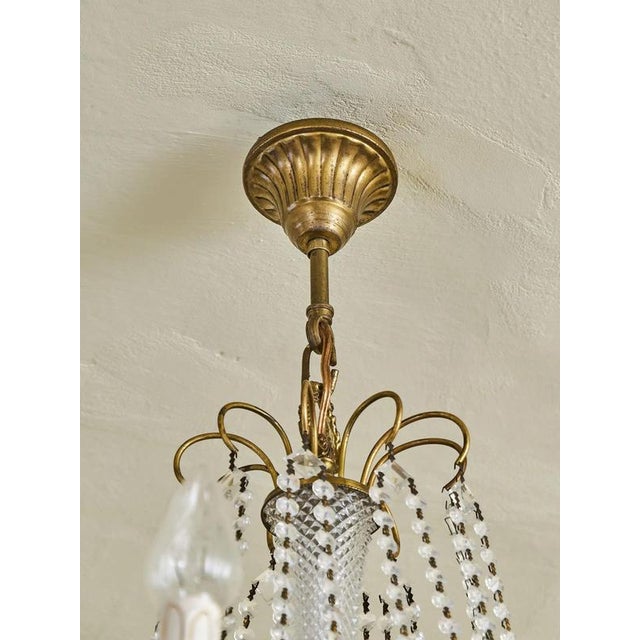 Crystal Chandelier with 14 Bulbs For Sale - Image 10 of 11
