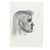 Donna Foreman Hopper Double-Sided Charcoal Portrait of a Woman in Profile For Sale - Image 9 of 9