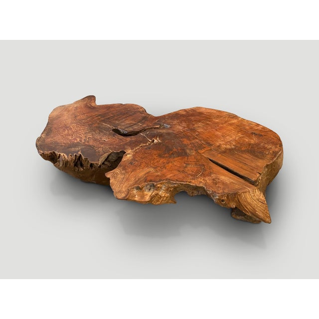 Andrianna Shamaris Sculptural Teak Wood Coffee Table For Sale - Image 16 of 18