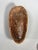 LEGA, Democratic Republic of Congo. Ceremonial wooden mask with a dark patina covered in kaolin. H. 32 cm - W. 16 cm - D....