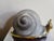 Nautical Mid 20th Century Signed Anthony Freeman McFarlin Ceramic Snail Sculpture For Sale - Image 3 of 11