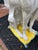 Italian Glazed Terra Cotta Whippet For Sale - Image 13 of 14
