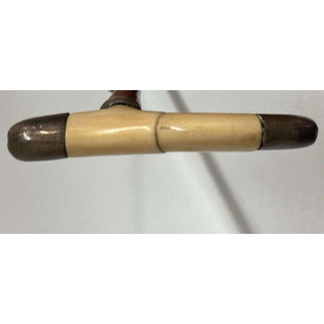Antique Bone & Sterling Silver Handle, Cane For Sale - Image 4 of 9