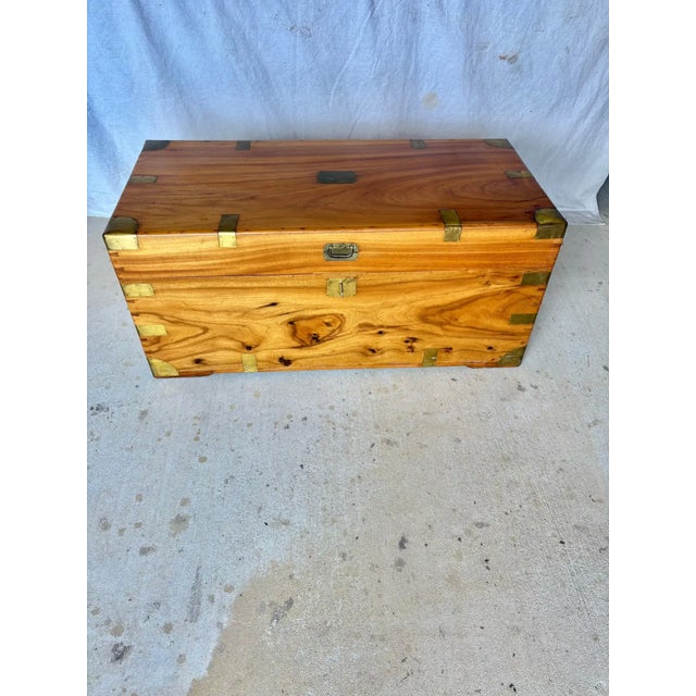 19th Century English Camphor Wood Campaign Chest For Sale - Image 15 of 18