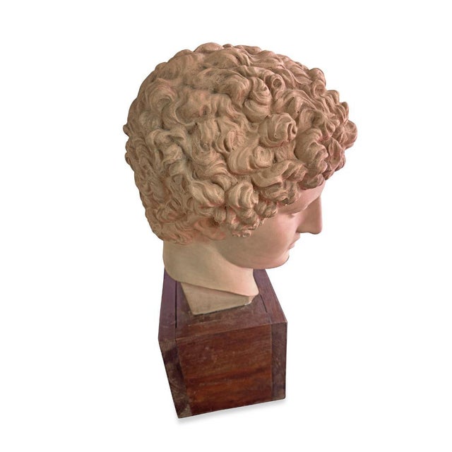 Mid-Century Modern Classical Roman Terracotta Bust For Sale - Image 3 of 7