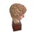 Mid-Century Modern Classical Roman Terracotta Bust For Sale - Image 3 of 7