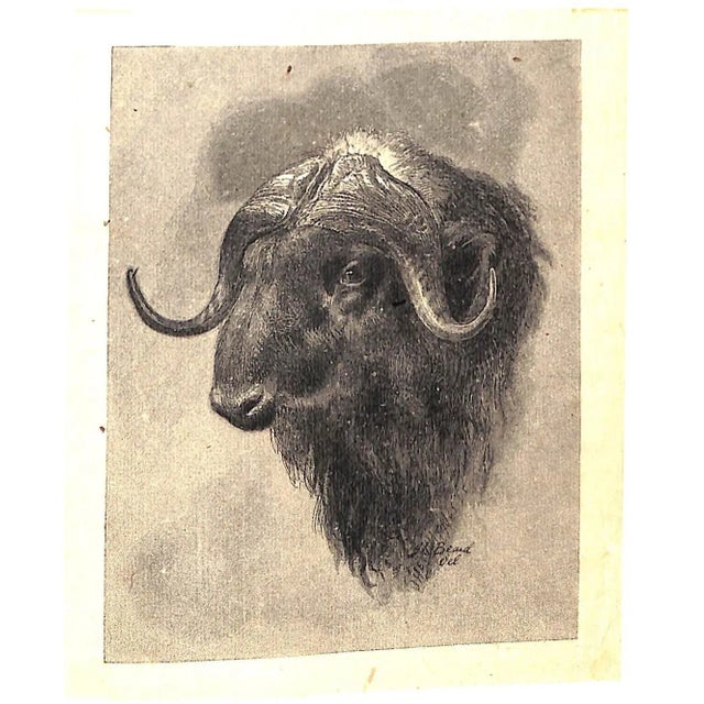 "Sport With Gun and Rod in American Woods and Waters" 1883 Mayer, Alfred M. For Sale - Image 11 of 13