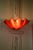 Vintage Sculptural Resin Shell Wall Sconce, 1970s For Sale - Image 16 of 18