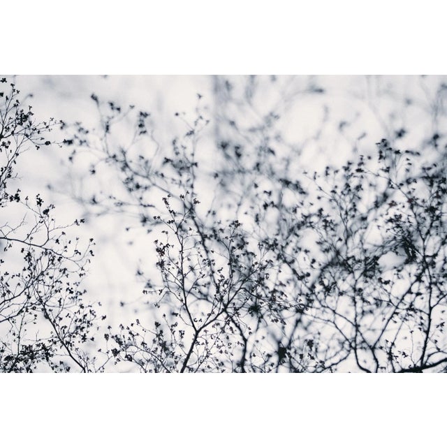 Born in Porqueres, a small village in Catalonia, Llorens has lived by the lake Banyoles his entire life. Inspired by this...