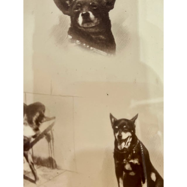 Gold Antique Parisian Gilt Wood Framed Dog Portrait For Sale - Image 8 of 12