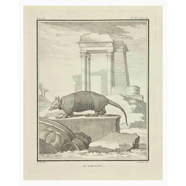 Le Kabassou is an etching realized by Jean Charles Baquoy in 1771. It belongs to the suite "Histoire Naturelle de Buffon"....