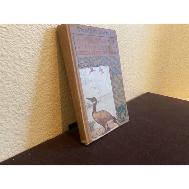 1910s Rare Early 20th Century Book by George E. Walsh Titled Scarlet the Ibis Circa 1918 For Sale - Image 5 of 9