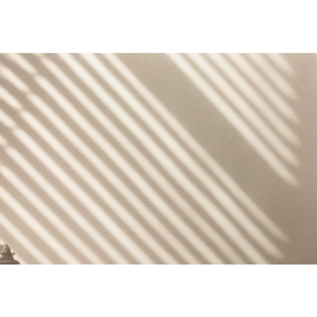 A contemporary palladium print titled "Two Ranunculus On Curved, Striped Background" by American photographer James Ware...