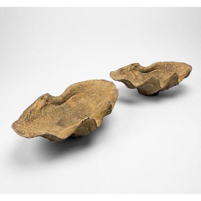 Pair of Vintage Cast Stone Faux Clam Shell Catchalls For Sale - Image 4 of 9