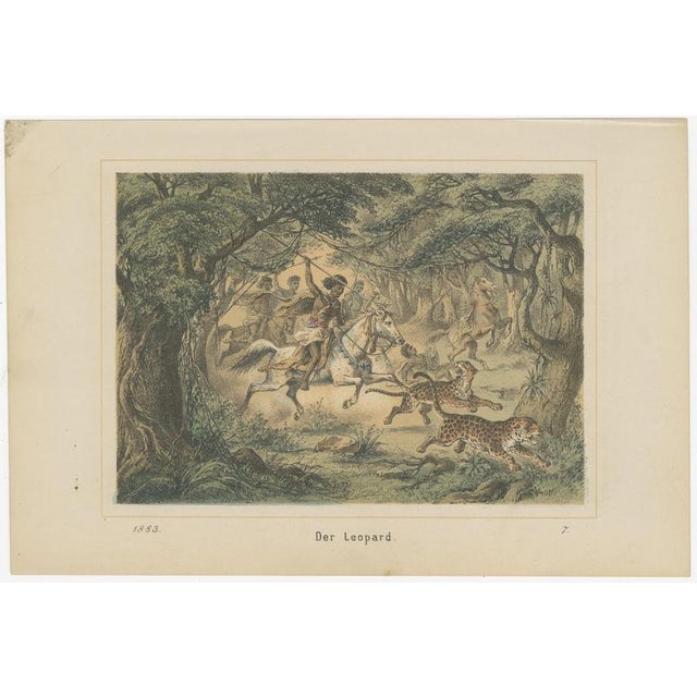 German School, Leopard Hunt in the Jungle Wildlife Adventure Lithograph, 1883, Lithograph For Sale - Image 3 of 9