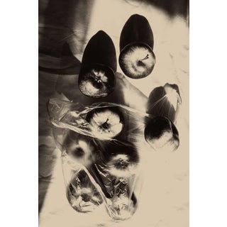 Apples by Jonė Reed – Limited Edition Still Life Fine Art Photography Print | Unframed, Signed Archival For Sale