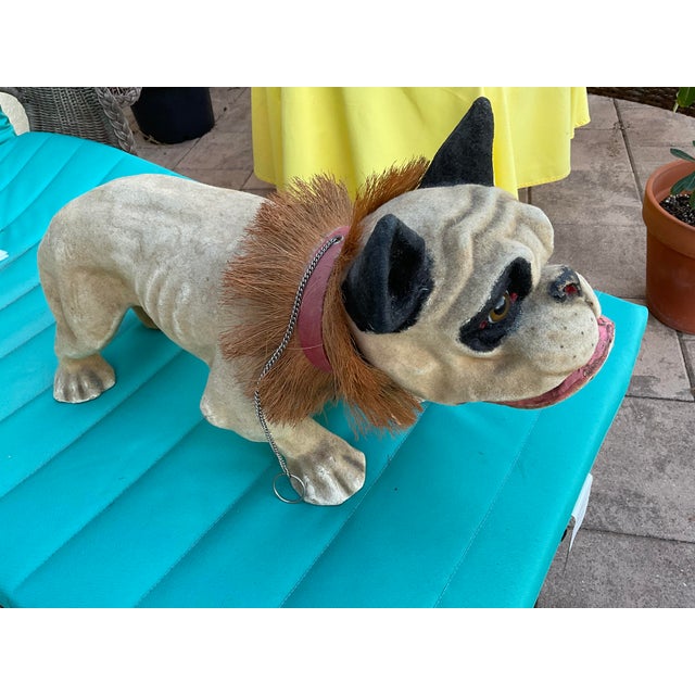 Realism Large 21” French Paper Mache Growler Bulldog- Very Good Condition- For Sale - Image 3 of 10