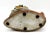 Vintage Folk Art Cement Snail Figurine With Seashell Floral Shell – Coastal Paperweight Decor For Sale In Houston - Image 6 of 11