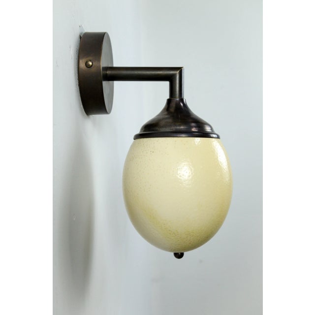 Ostrich Egg Cast Brass Arm Sconce For Sale - Image 11 of 11