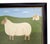 Matt Rix, Ivy, 2000s, Oil Painting on Board, Framed For Sale - Image 6 of 8