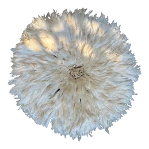 African Juju Feather Headdress