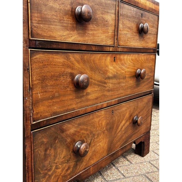 Small Georgian Mahogany Chest of Drawers For Sale - Image 9 of 13